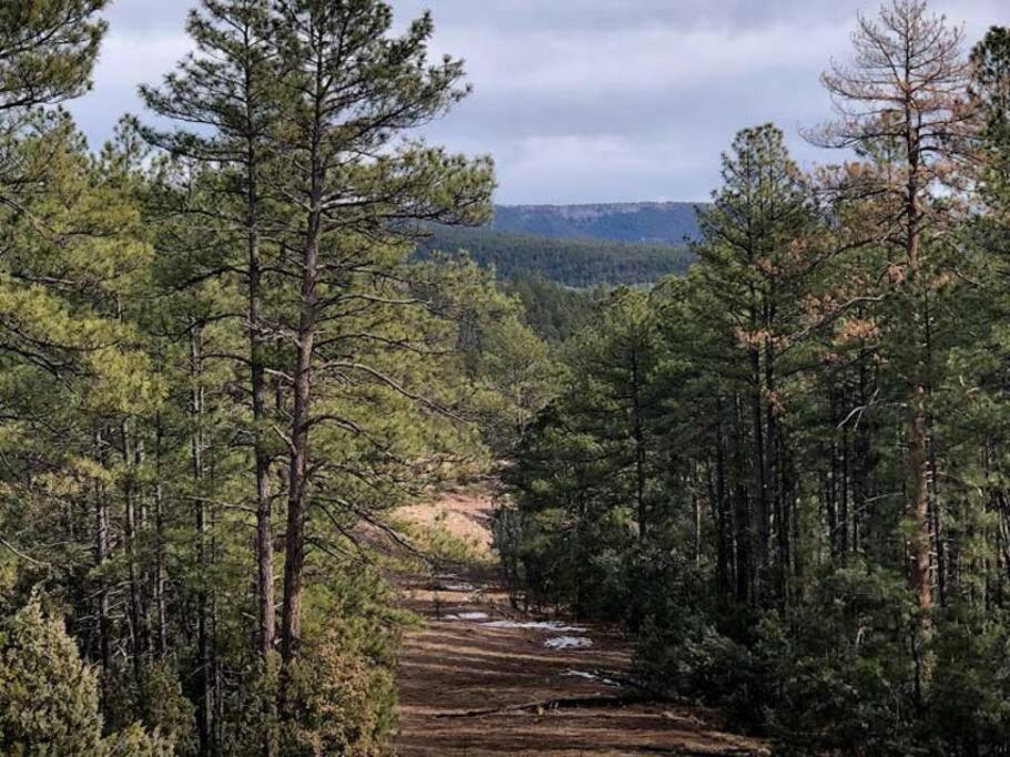 Forest Cabin 1 Hunters Blind Payson Zewnętrze zdjęcie